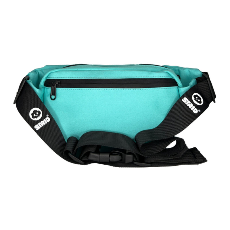 Strio Proof Fanny Pack 1ct - Premium  from H&S WHOLESALE - Just $25! Shop now at H&S WHOLESALE